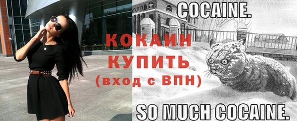 прущие крисы Белокуриха