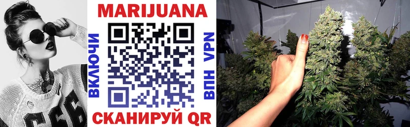 Бошки Шишки THC 21%  Невель 